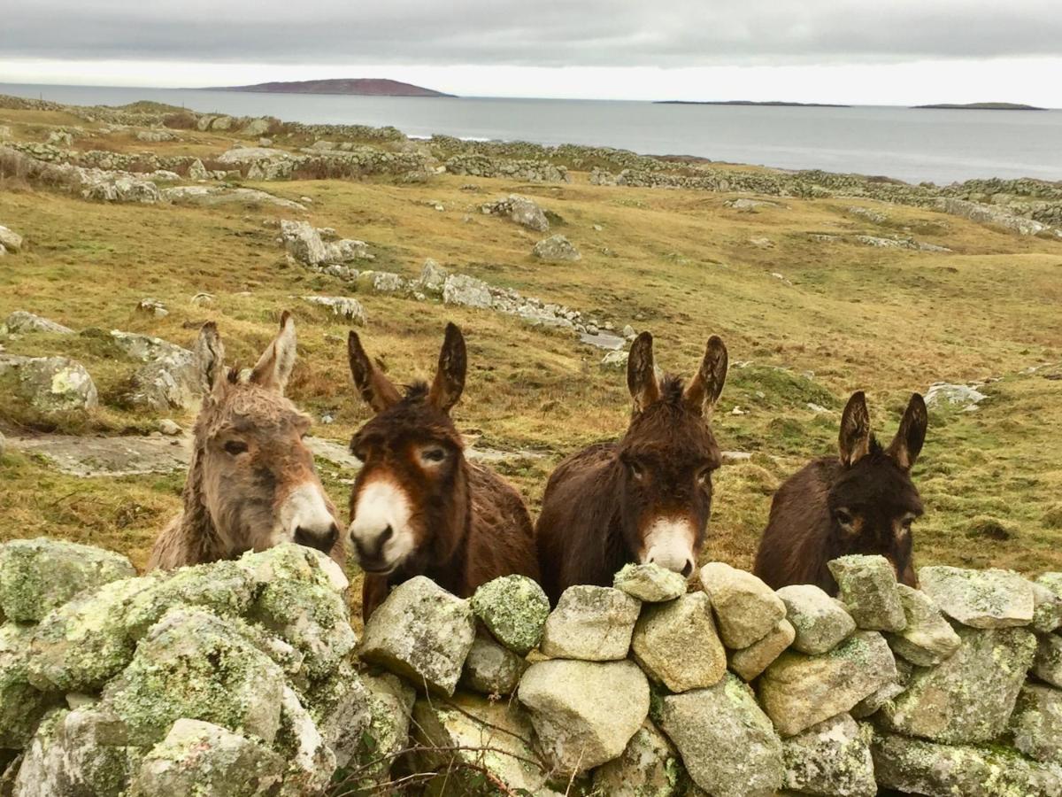 Earls View Caravan Carna Esterno foto