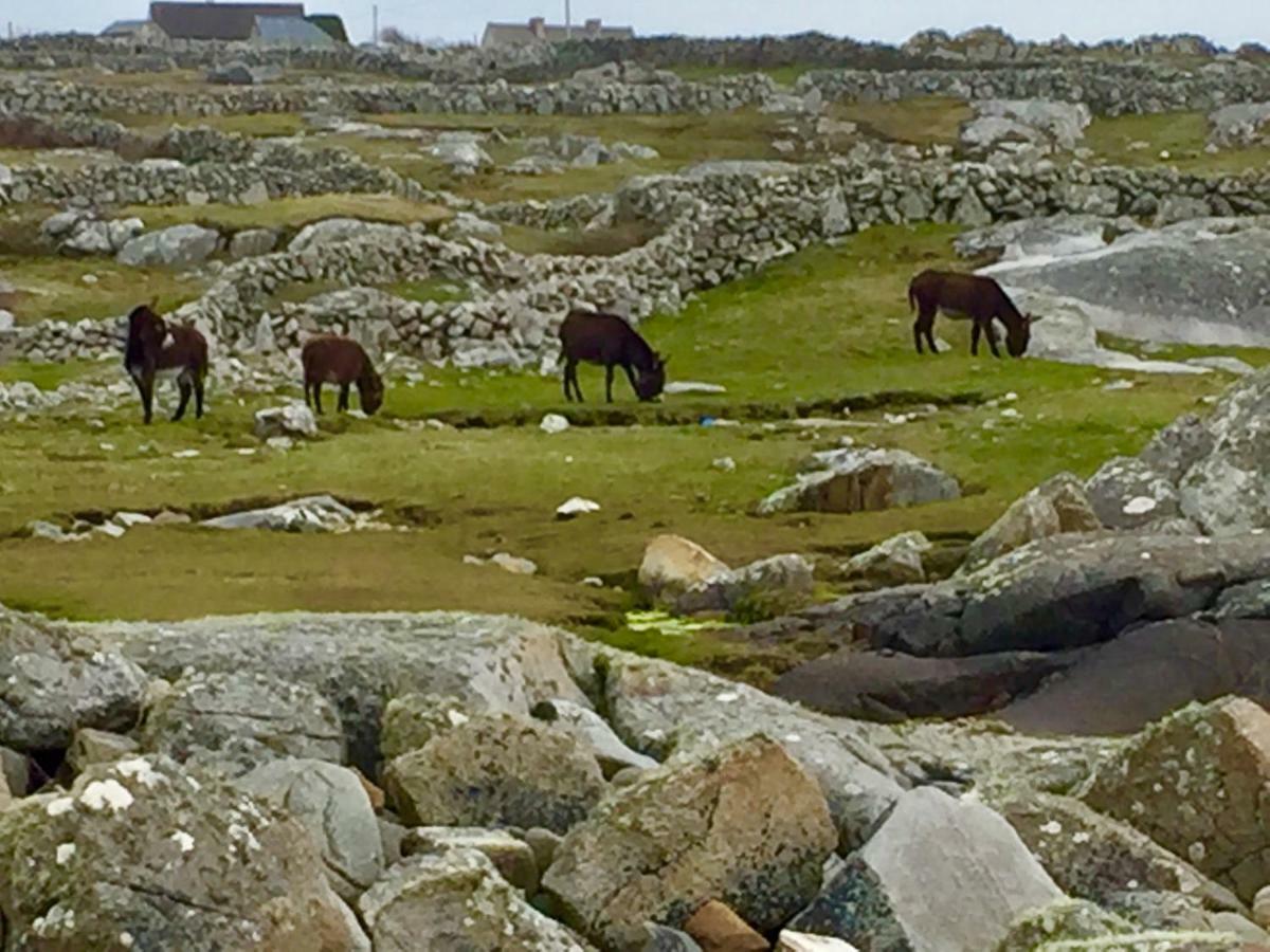 Earls View Caravan Carna Esterno foto